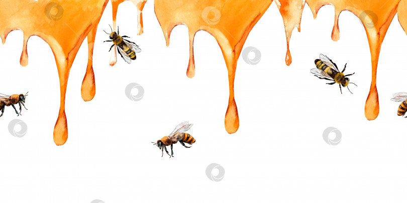 Скачать Иллюстрация меда. Акварельный горизонтальный баннер с медовыми полосками. клеймение медом. фотосток Ozero