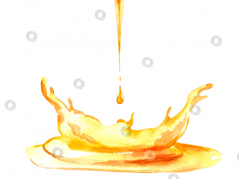 Скачать Золотая капля масла - концепция продуктов для здоровья и красоты. Еда фотосток Ozero