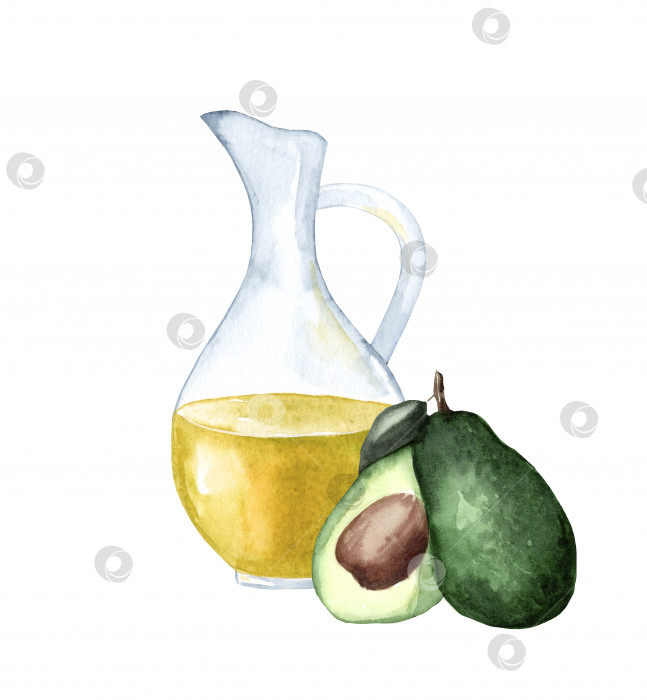 Скачать Свежее спелое авокадо с кувшинчиком масла авокадо, акварельная иллюстрация, нарисованная от руки, выделенная на белом фоне фотосток Ozero