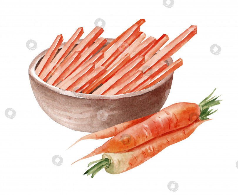 Скачать Миску с нарезанной кубиками морковью. акварельная иллюстрация, нарисованная от руки фотосток Ozero