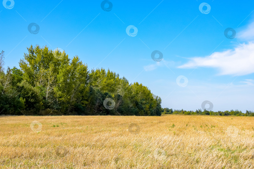 Скачать скошенное поле фотосток Ozero