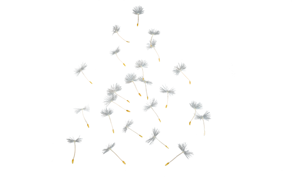 [object Object] undefined