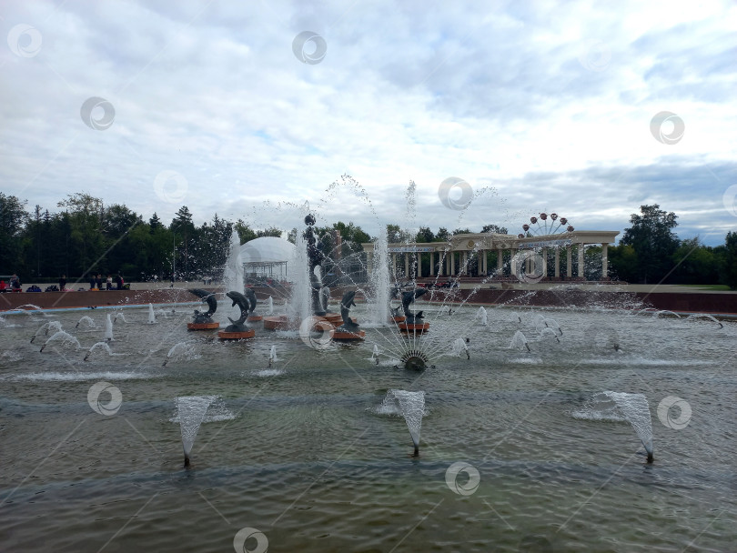 Скачать Городской фонтан "Дельфины" в центральном городском парке фотосток Ozero