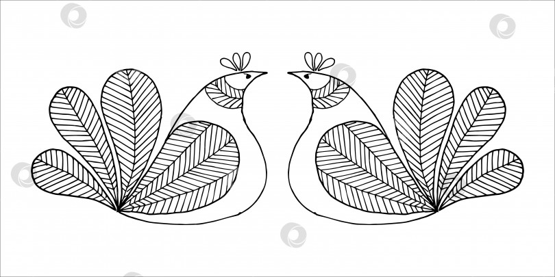 Скачать Две симметрично нарисованные свободной рукой стилизованные гордые птицы-наседки, смотрящие друг на друга, в стиле каракулей или эскизов. Раскраски для детей и взрослых, антистрессовые. Открытка, приглашение, поздравительная открытка, плакат. фотосток Ozero