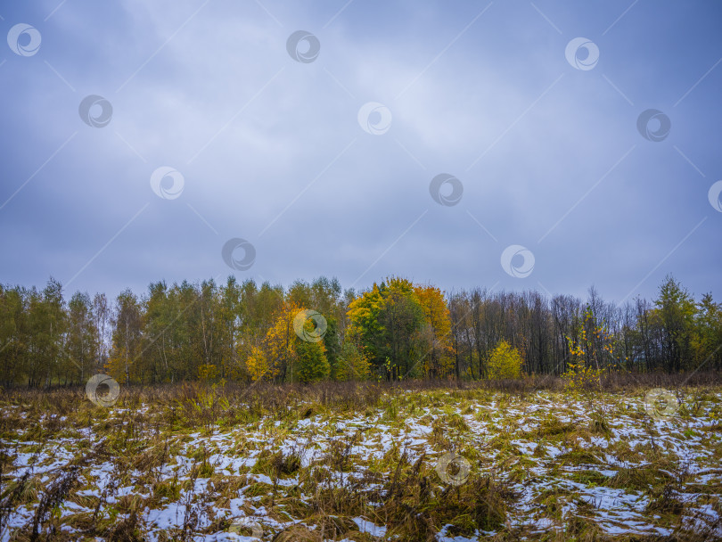 Скачать осенний пейзаж фотосток Ozero