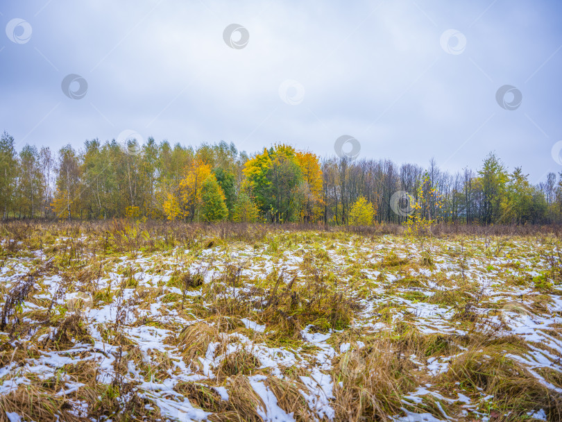 Скачать осенний пейзаж фотосток Ozero