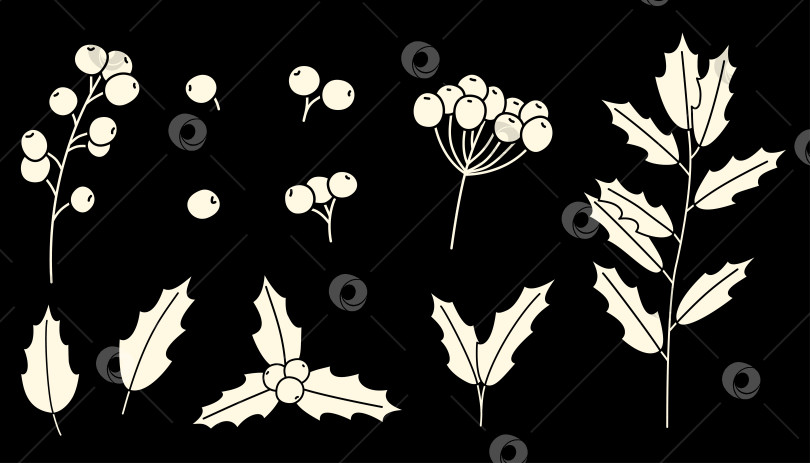 Скачать Элементы набора рождественских растений из остролиста фотосток Ozero