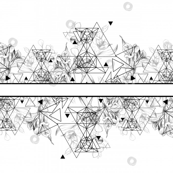 Скачать Цветочная и геометрическая кайма с лилиями и треугольниками. Художественная иллюстрация нарисованной от руки линии фотосток Ozero