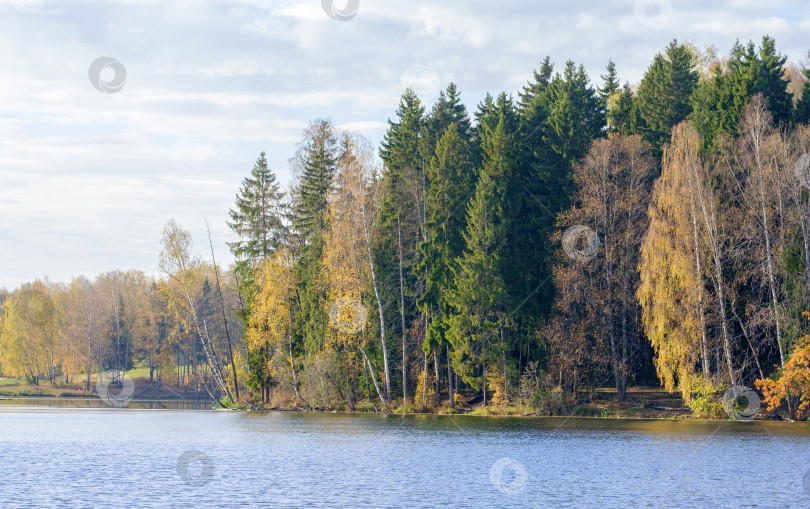 Скачать озеро и осенний лес в солнечный день фотосток Ozero