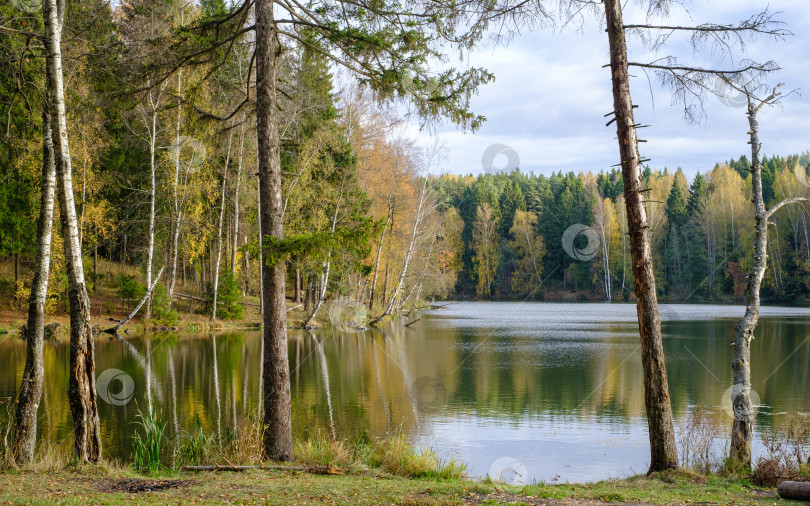 Скачать озеро и осенний лес в солнечный день фотосток Ozero