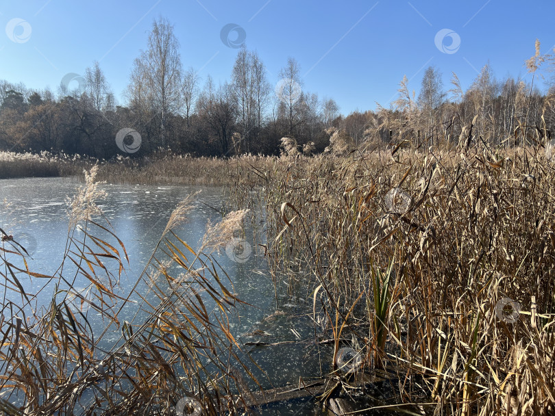 Скачать Тонкий лед на водоеме фотосток Ozero