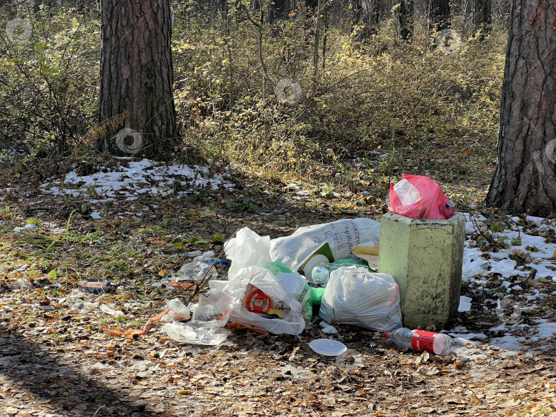 Скачать Намусорили в лесу фотосток Ozero