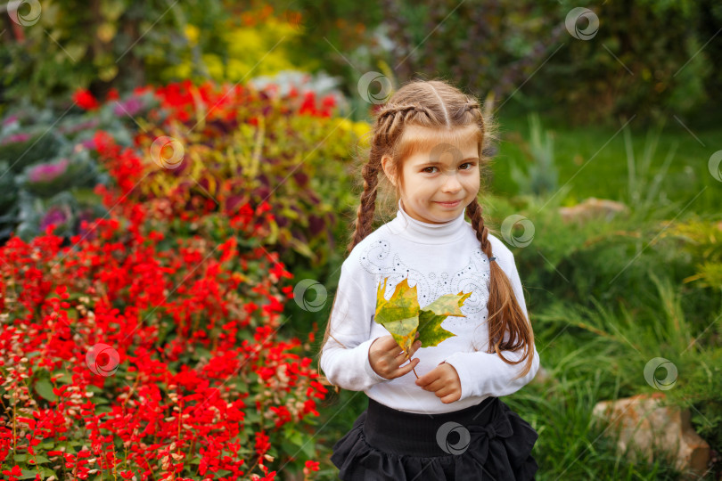 Скачать Прекрасная девушка и осенние листья. фотосток Ozero