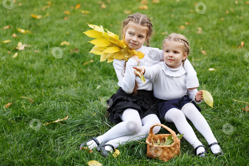 Скачать Две сестры с опавшими листьями. фотосток Ozero
