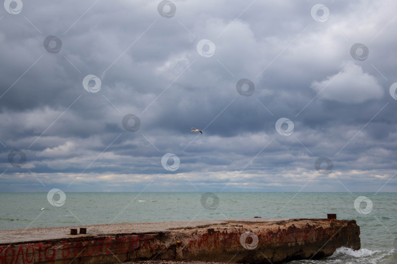 Скачать Морское побережье перед штормом. фотосток Ozero