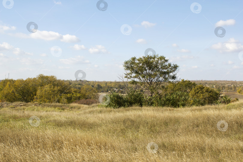 Скачать Пейзаж фотосток Ozero