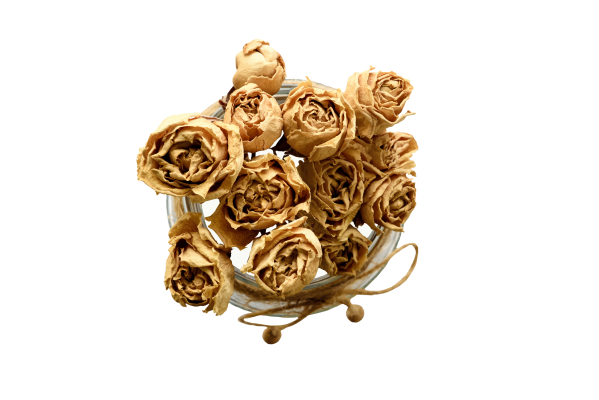 [object Object] undefined