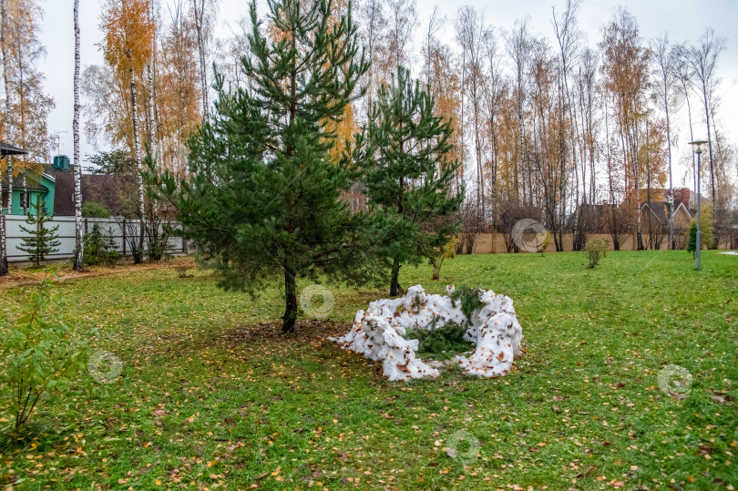 Скачать На траве лужайки лежит куча снега фотосток Ozero