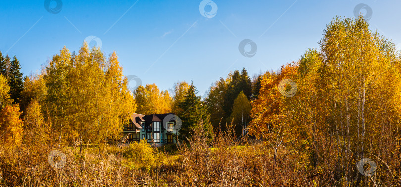 Скачать Деревня, дом в осеннем лесу фотосток Ozero