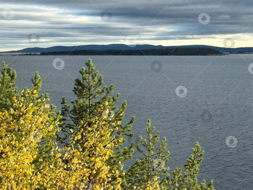 Скачать Яркая осенняя листва на берегу спокойного Белого моря в Кандалакше, Мурманская область, под облачным небом фотосток Ozero