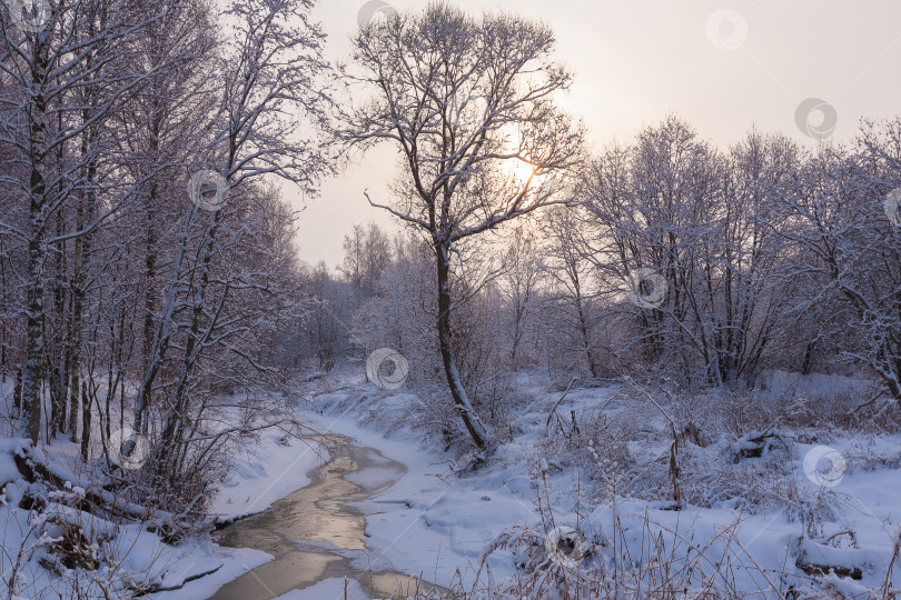 Скачать Зимний пейзаж с рекой, солнечный морозный день фотосток Ozero