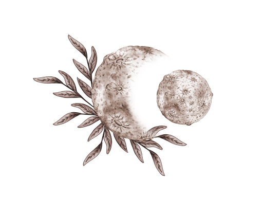 [object Object] undefined