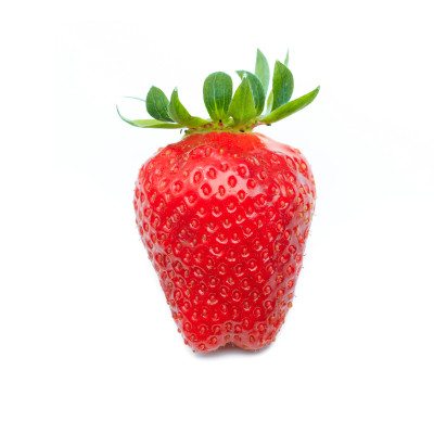 [object Object] undefined