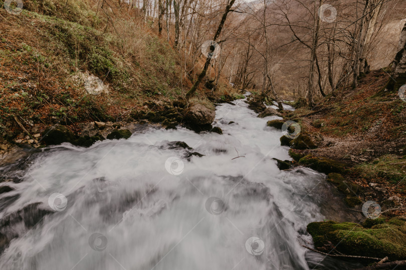 Скачать Река Равняк, Черногория - Изображение. фотосток Ozero