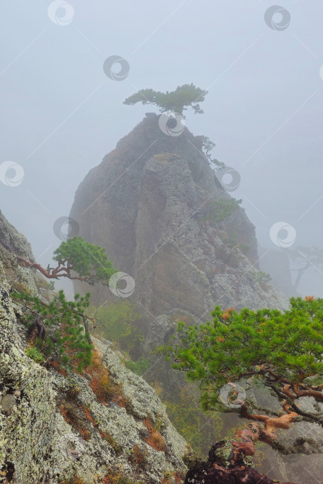 Скачать Затуманенный вид на гору. фотосток Ozero