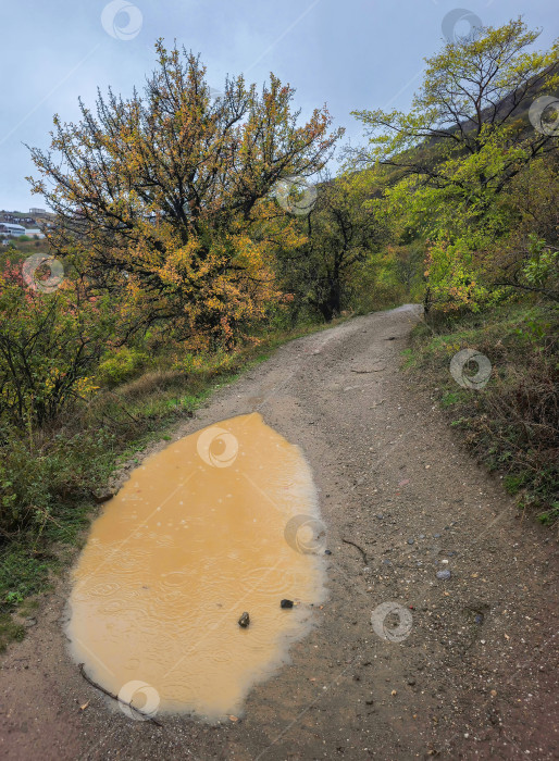 Скачать Большая лужа грязи и воды на грунтовой дороге осенью фотосток Ozero