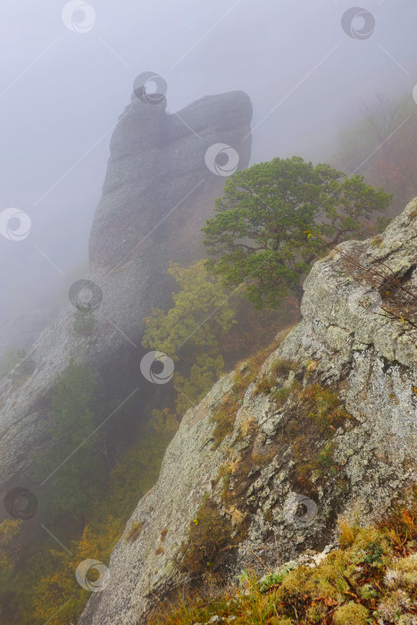 Скачать Затуманенный вид на гору. фотосток Ozero