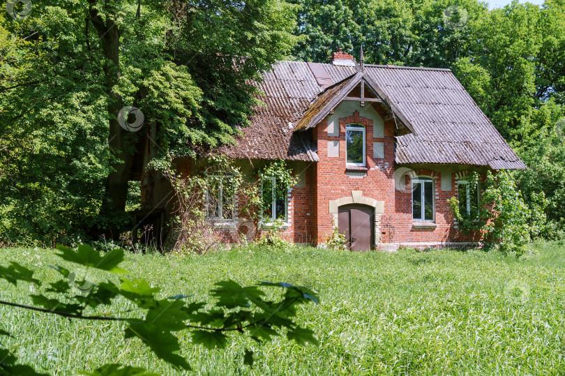 Скачать Дом в лесу. Дом из красного кирпича в лесу. Дом лесника-охотника. фотосток Ozero