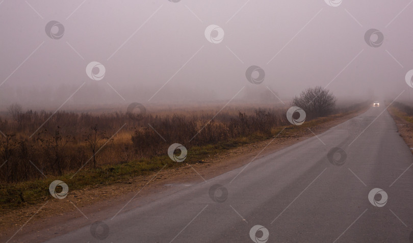 Скачать Осень, туман, пустая дорога, фары автомобиля фотосток Ozero