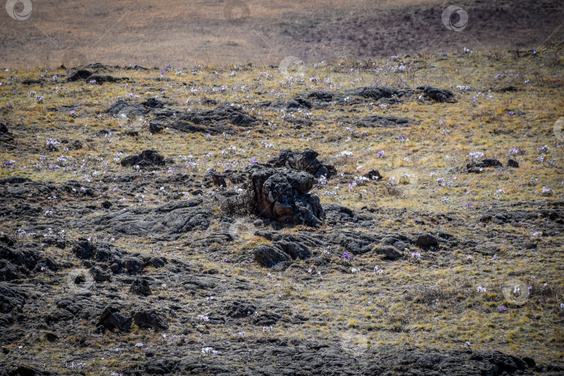 Скачать Древние горы Хакасии. Сахсыр фотосток Ozero