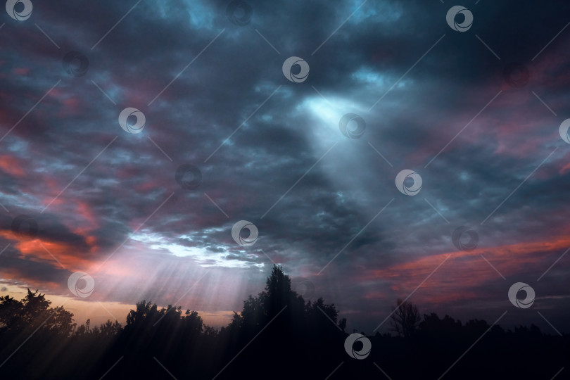 Скачать Вечерний огненный закат с желто-голубыми облаками. Из кучевых облаков пробиваются лучи солнца и света. Силуэты домов и деревьев на заднем плане фотосток Ozero