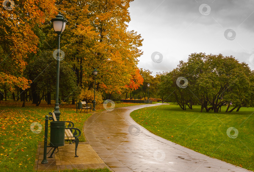 Скачать Осень, городской парк, дождь, пешеходная тропа фотосток Ozero