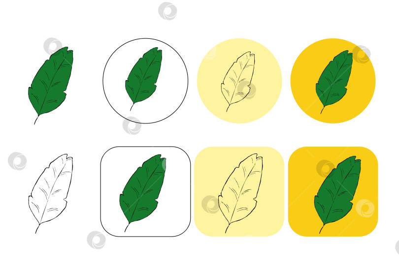 Скачать Векторный логотип в виде листьев тропического растения. Круглые и квадратные листья эмблемы в линейном стиле. Векторный абстрактный значок для дизайна натуральных продуктов, цветочного магазина, косметики, концепций экологии, здоровья, спа, центра йоги. фотосток Ozero