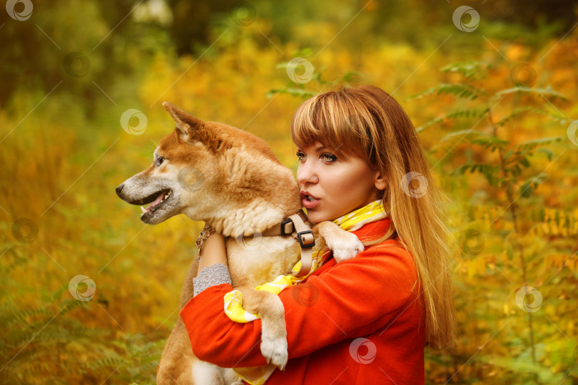 Скачать Девушка обнимает собаку Шиба-Ину в осеннем парке. фотосток Ozero