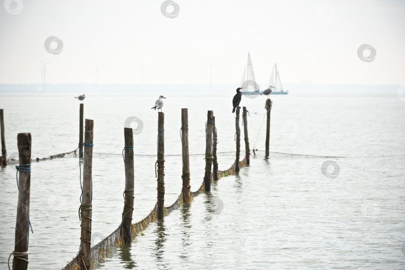 Скачать Пейзаж Северного моря фотосток Ozero