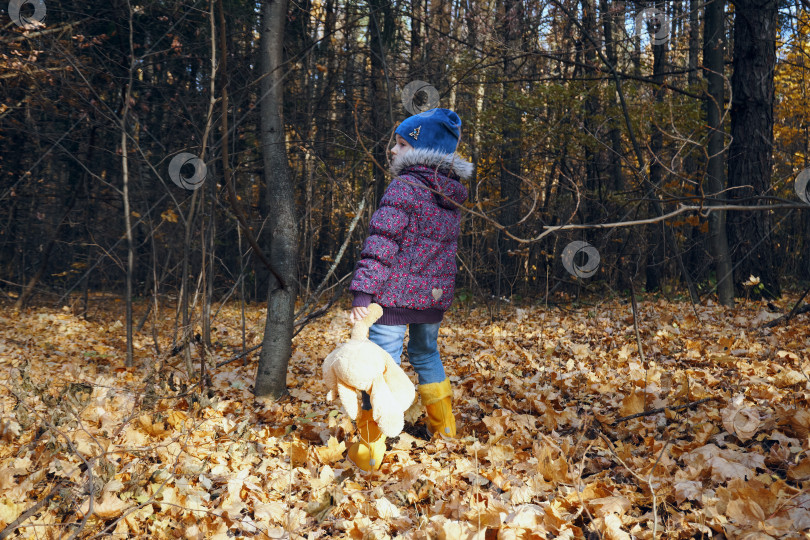 Скачать Девочка в осенней одежде прогуливается по осеннему лесу, усыпанному сухими листьями. Прогуляйся по лесу. В руках он держит плюшевого мишку фотосток Ozero