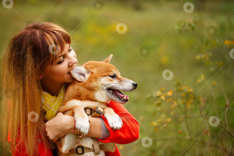 Скачать Девушка кусает за ухо собаку Шиба-ину в осеннем парке. фотосток Ozero