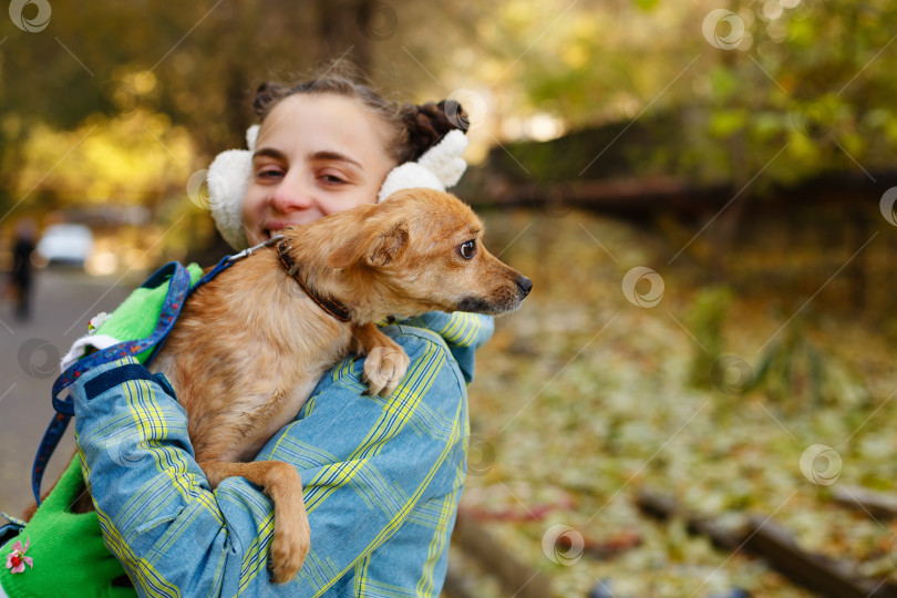 Скачать Девочка и собака фотосток Ozero