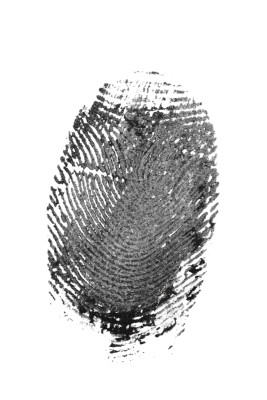 [object Object] undefined
