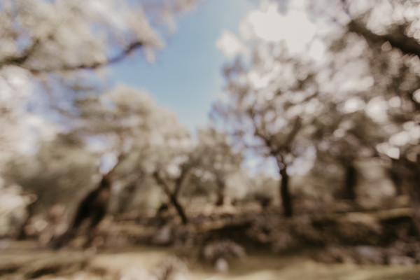 [object Object] undefined