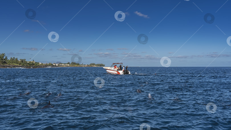 Скачать Моторная туристическая лодка в голубом океане. фотосток Ozero