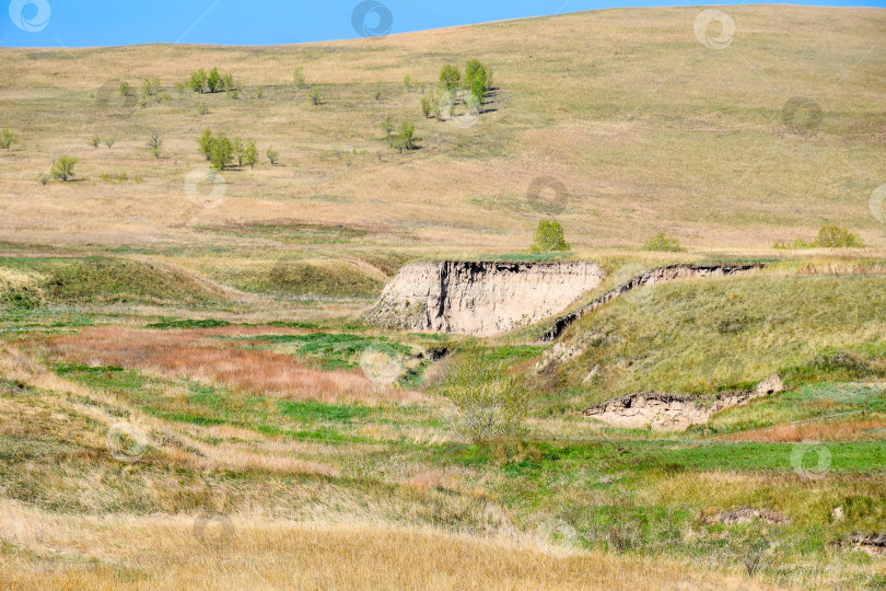 Скачать Овраг. Сухая Чея. Песчаные берега фотосток Ozero