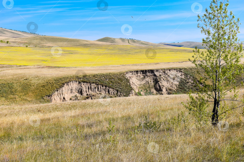 Скачать Овраг. Сухая Чея.  Песчаные берега фотосток Ozero