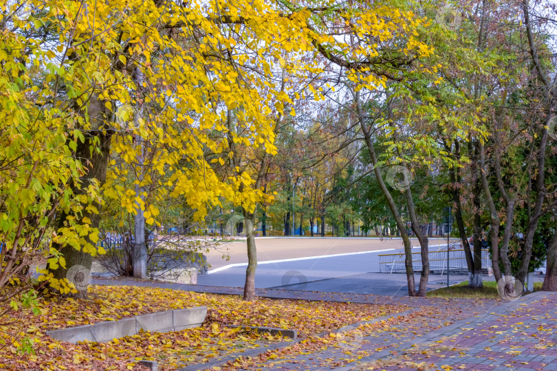 Скачать Фрагмент городского парка осенью фотосток Ozero