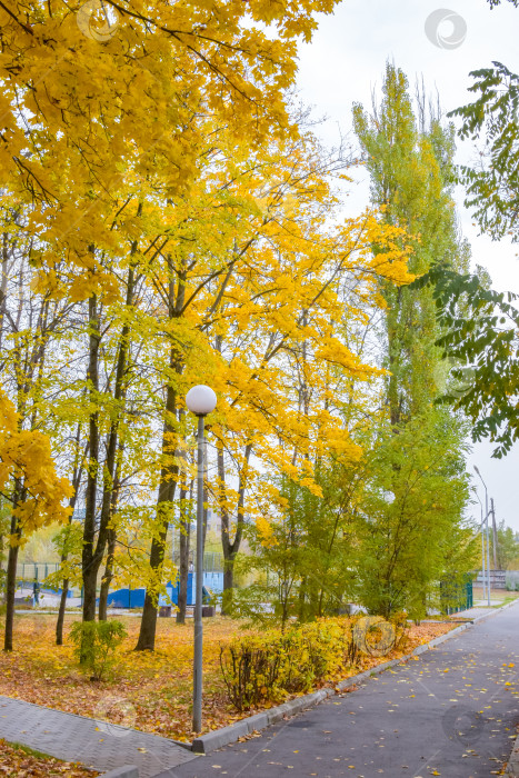 Скачать Краски осени фотосток Ozero