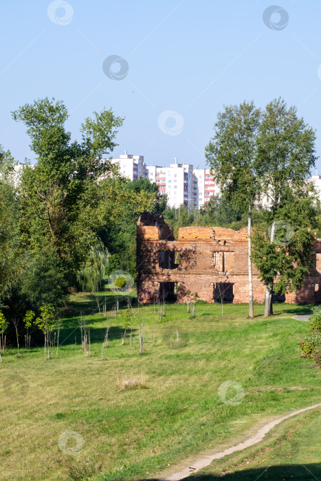 Скачать Живописная тропинка через парк с деревьями и зданиями позади фотосток Ozero